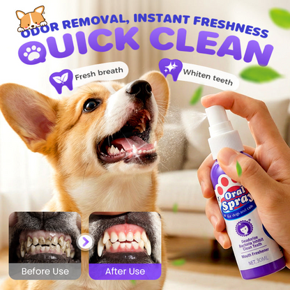 🔥2026 New Arrivals: 50% Off for a Limited Time!🔥Teeth Cleaning Spray for Pets